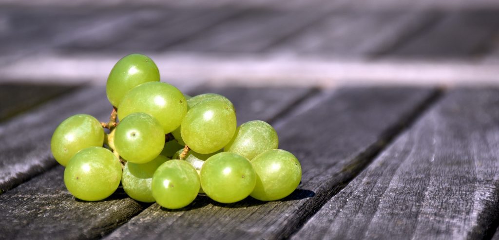 Weiße Trauben für unseren erlesenen weißen Fürstenfass Wein!