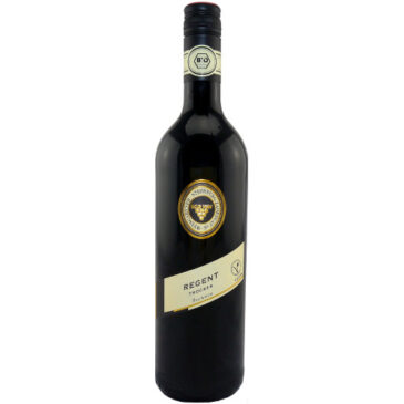 Regent QbA trocken – Biowein Stromberg-Zabergäu